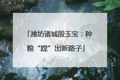 潍坊诸城殷玉宝：种粮“蹚”出新路子