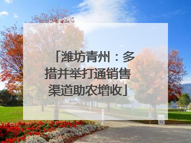 潍坊青州：多措并举打通销售渠道助农增收