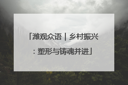 潍观众语｜乡村振兴：塑形与铸魂并进