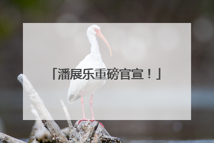 潘展乐重磅官宣！