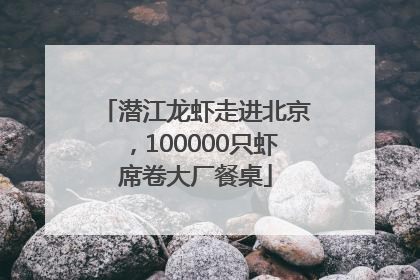 潜江龙虾走进北京，100000只虾席卷大厂餐桌