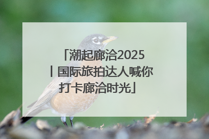 潮起廊洽2025丨国际旅拍达人喊你打卡廊洽时光
