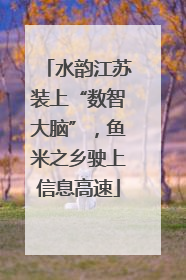 水韵江苏装上“数智大脑”，鱼米之乡驶上信息高速