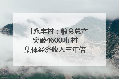 永丰村：粮食总产突破4600吨 村集体经济收入三年倍增｜牵挂的村