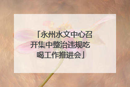 永州水文中心召开集中整治违规吃喝工作推进会