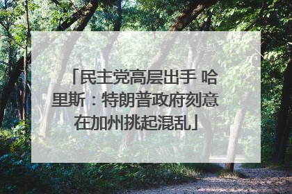 民主党高层出手 哈里斯：特朗普政府刻意在加州挑起混乱