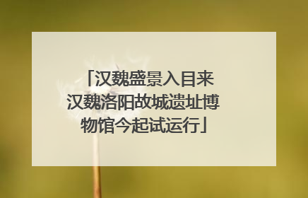 汉魏盛景入目来 汉魏洛阳故城遗址博物馆今起试运行