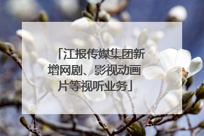 江报传媒集团新增网剧、影视动画片等视听业务