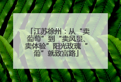 江苏徐州：从“卖葡萄”到“卖风景、卖体验”阳光玫瑰“葡”就致富路