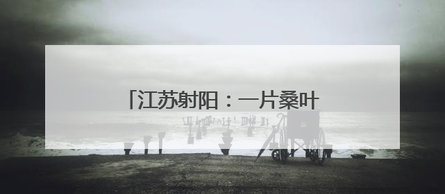 江苏射阳：一片桑叶里的乡村共富密码