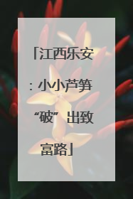 江西乐安：小小芦笋“破”出致富路