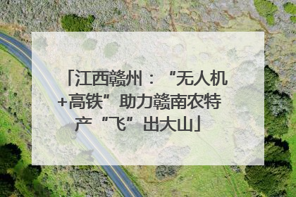 江西赣州：“无人机+高铁”助力赣南农特产“飞”出大山