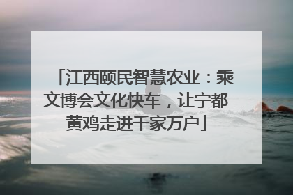 江西颐民智慧农业：乘文博会文化快车，让宁都黄鸡走进千家万户
