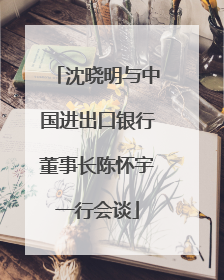 沈晓明与中国进出口银行董事长陈怀宇一行会谈