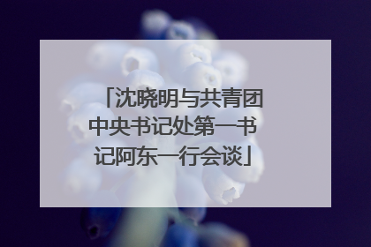沈晓明与共青团中央书记处第一书记阿东一行会谈