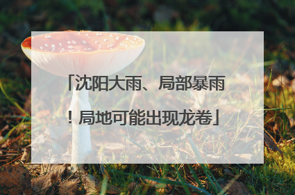 沈阳大雨、局部暴雨！局地可能出现龙卷