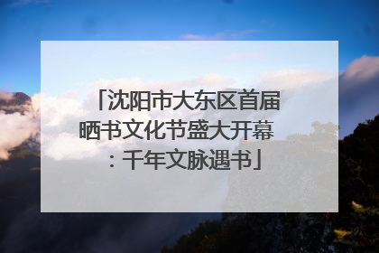 沈阳市大东区首届晒书文化节盛大开幕：千年文脉遇书