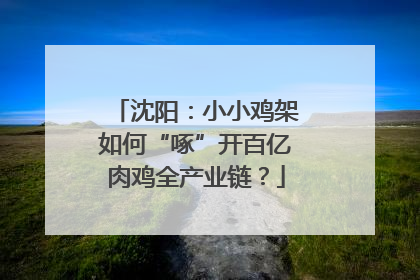 沈阳：小小鸡架如何“啄”开百亿肉鸡全产业链？