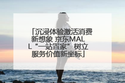 沉浸体验激活消费新想象 京东MALL“一站置家”树立服务价值新坐标