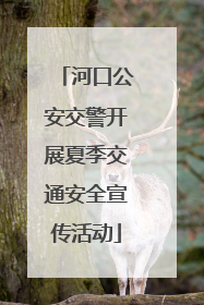 河口公安交警开展夏季交通安全宣传活动