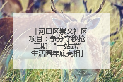 河口区崇文社区项目：争分夺秒抢工期 “一站式”生活圈年底亮相