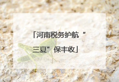 河南税务护航“三夏”保丰收