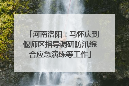 河南洛阳：马怀庆到偃师区指导调研防汛综合应急演练等工作