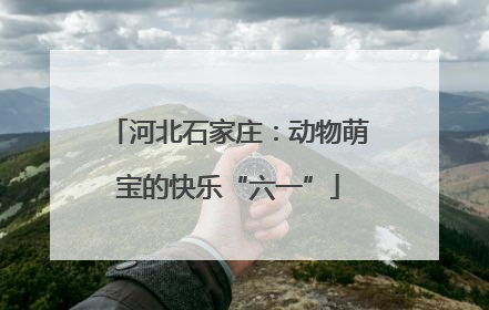 河北石家庄：动物萌宝的快乐“六一”