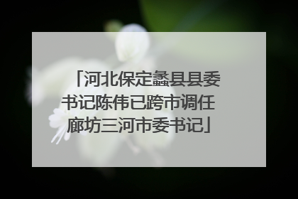 河北保定蠡县县委书记陈伟已跨市调任廊坊三河市委书记