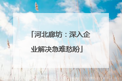 河北廊坊：深入企业解决急难愁盼