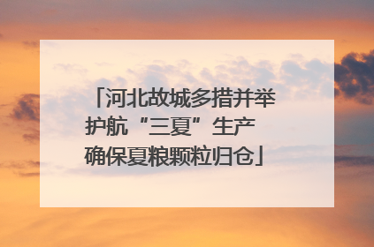河北故城多措并举护航“三夏”生产 确保夏粮颗粒归仓