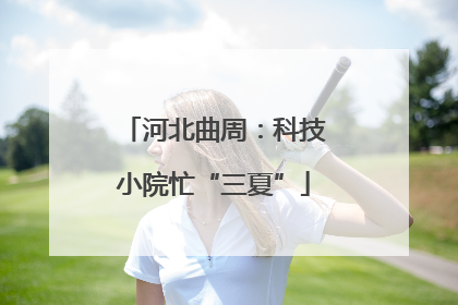 河北曲周：科技小院忙“三夏”