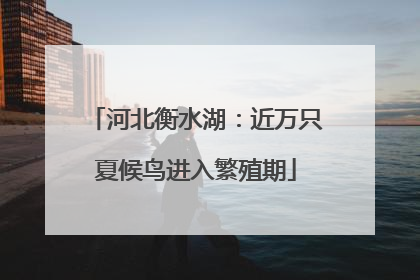 河北衡水湖：近万只夏候鸟进入繁殖期