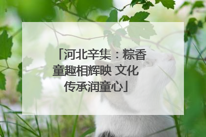 河北辛集：粽香童趣相辉映 文化传承润童心