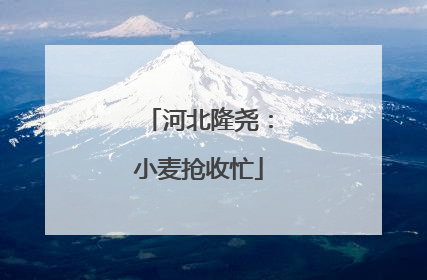 河北隆尧：小麦抢收忙