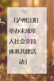 泸州江阳举办未成年人社会支持体系共建活动