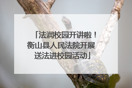 法润校园开讲啦！衡山县人民法院开展 送法进校园活动