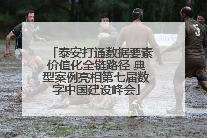 泰安打通数据要素价值化全链路径 典型案例亮相第七届数字中国建设峰会