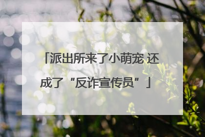 派出所来了小萌宠 还成了“反诈宣传员”