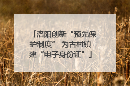 洛阳创新“预先保护制度” 为古村镇建“电子身份证”