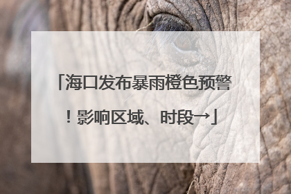 海口发布暴雨橙色预警！影响区域、时段→