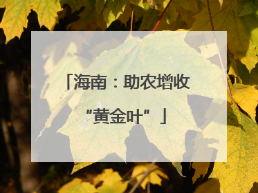 海南：助农增收 “黄金叶”