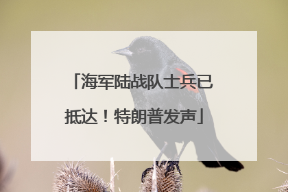 海军陆战队士兵已抵达！特朗普发声