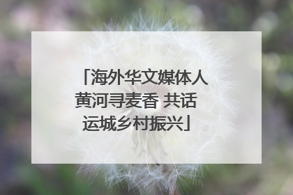 海外华文媒体人黄河寻麦香 共话运城乡村振兴