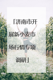 济南市开展新小麦市场行情专项调研
