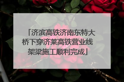 济滨高铁济南东特大桥下穿济莱高铁营业线架梁施工顺利完成