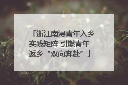 浙江南浔青年入乡实践矩阵 引燃青年返乡“双向奔赴”