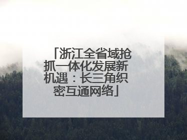 浙江全省域抢抓一体化发展新机遇：长三角织密互通网络