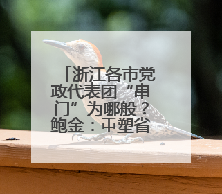 浙江各市党政代表团“串门”为哪般？鲍金：重塑省域经济地理的破题之道