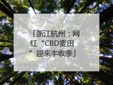 浙江杭州：网红“CBD麦田”迎来丰收季